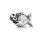 Fisch Charms Beads Anh&bdquo;nger Edelstahl Angebot Perle fr bettel-Armband Bead Charm Silber Original Chrystal Strass kompatibel mit Pandora Style